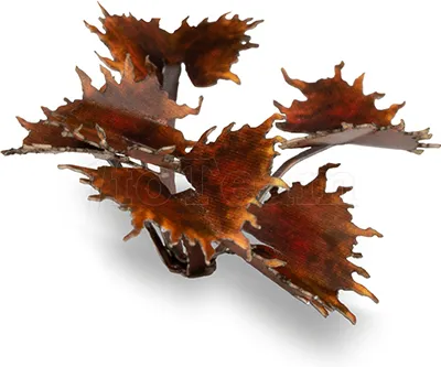 Photo de Gamers Grass - Laser Plants : Alien Flytrap