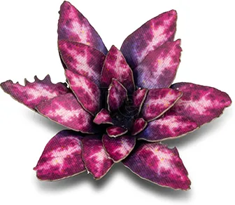 Photo de Gamers Grass - Laser Plants : Alien Rosette