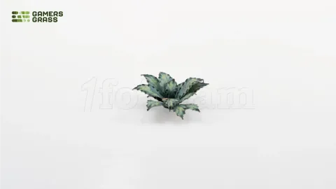 Photo de Gamers Grass - Laser Plants : Blue Agave