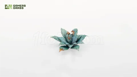 Photo de Gamers Grass - Laser Plants : Blue Agave