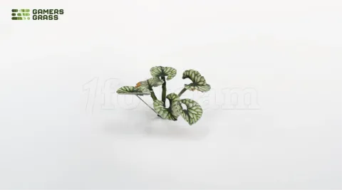 Photo de Gamers Grass - Laser Plants : Bugloss