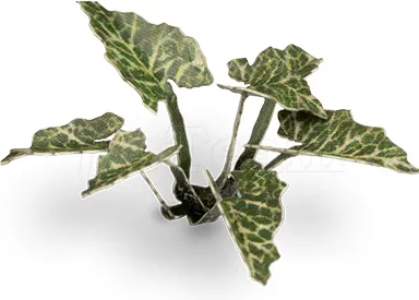 Photo de Gamers Grass - Laser Plants : Lords and Ladies