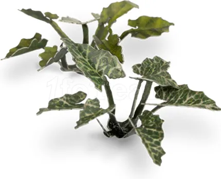 Photo de Gamers Grass - Laser Plants : Lords and Ladies