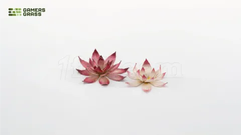 Photo de Gamers Grass - Laser Plants : Lotus Flower