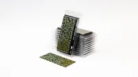 Photo de Gamers Grass - Laser Plants : Plantain Lily