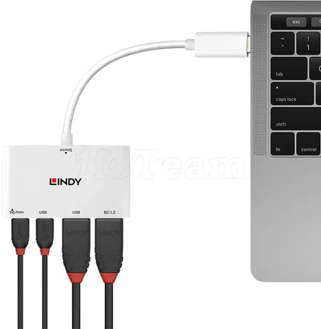 Photo de Hub USB 3.1 Lindy - 2 ports type A + 2x type C (Blanc)
