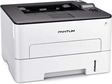 Photo de Imprimante Monofonction Pantum P3020D (Blanc)