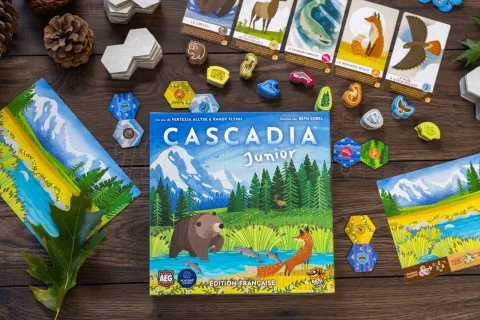 Photo de Jeu - Cascadia Junior