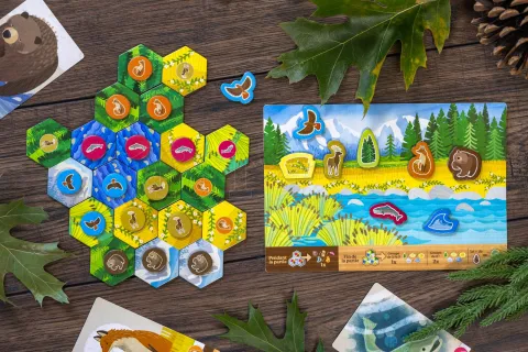 Photo de Jeu - Cascadia Junior