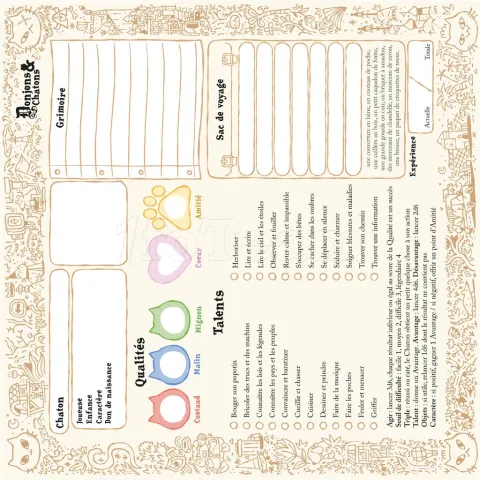 Photo de Jeu de Rôle : Donjons & Chatons