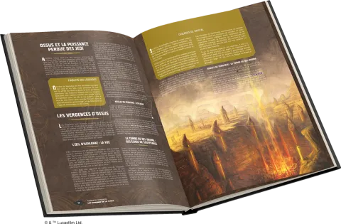Photo de Jeu de Rôle : Star Wars - Livre Force et Destinée Domaines de la Force