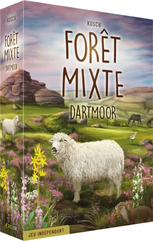 Photo de Jeu - Foret Mixte DartMoor