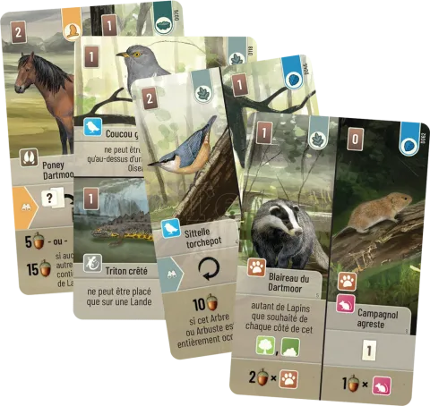 Photo de Jeu - Foret Mixte DartMoor