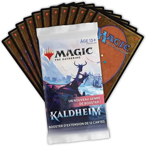 Photo de Jeu - Magic the Gathering : Khaldeim Booster (Fr)