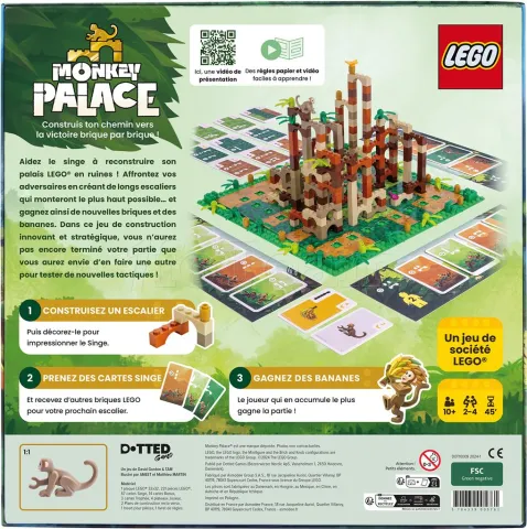 Photo de Jeu - Monkey Palace