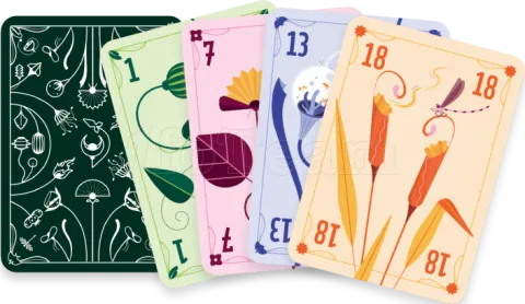 Photo de Jeu - Poket - Hii Fuu