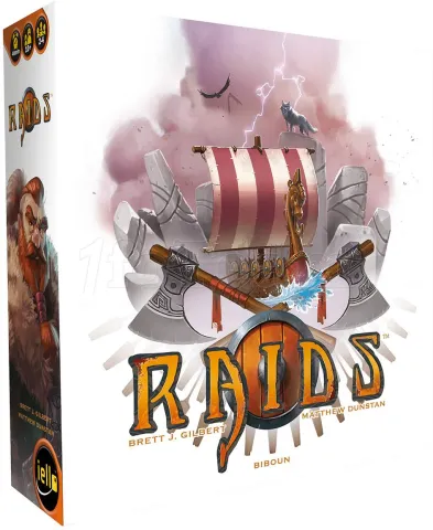 Photo de Jeu - Raids