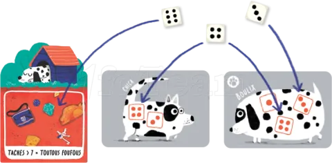 Photo de Jeu - Spot ou Encore