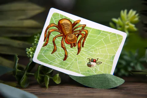 Photo de Jeu - Story Box Aventures