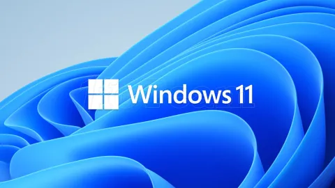 Photo de Microsoft Windows 11 Pro - 64bits (OEM) (DVD)