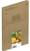 Photo de 4x Epson EasyMail Ananas 604 XL