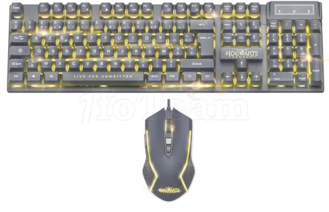 Photo de Pack Gamer 2 en 1 (Clavier/Souris) Freaks & Geeks Harry Potter Hogwarts Legacy (Noir)