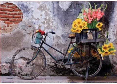 Photo de Puzzle Educa - Bicyclette avec des fleurs (500 pièces)