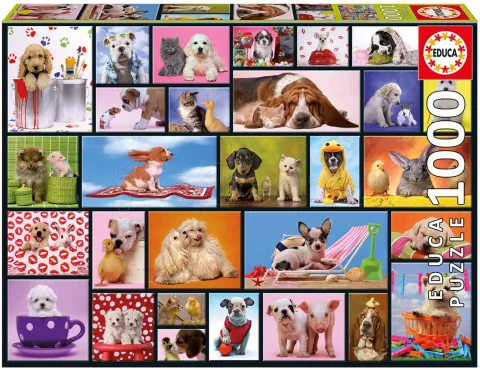 Photo de Puzzle Educa - Moments partagés (1000 pièces)