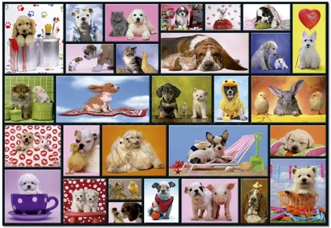 Photo de Puzzle Educa - Moments partagés (1000 pièces)