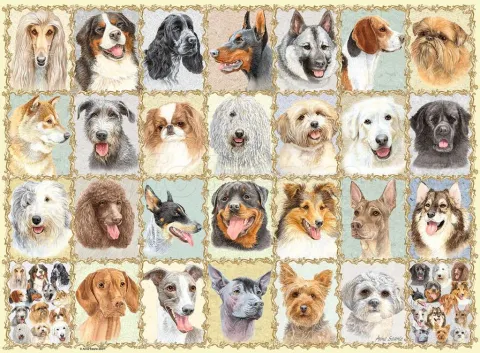 Photo de Puzzle Ravensburger - Portraits de chiens (500 pièces)