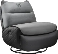 Photo de Cougar Overlord Neo