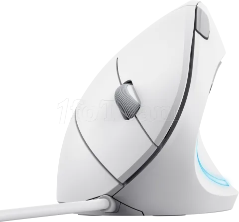 Photo de Souris filaire ergonomique Trust Verto (Blanc)