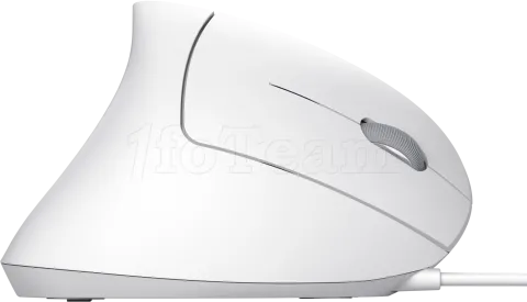 Photo de Souris filaire ergonomique Trust Verto (Blanc)