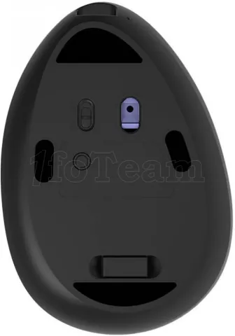 Photo de Souris sans fil Bluetooth verticale Delux M618DB RGB pour droitier (Noir)