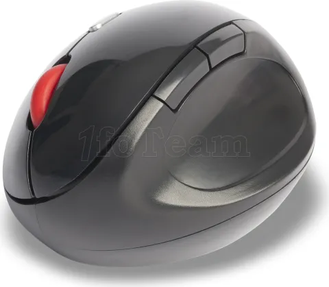 Photo de Souris sans fil ergonomique NGS Evo Ergo (Noir)