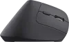 Image secondaire du produit