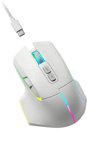 Photo de Souris sans fil Gamer Mars Gaming MMW-Vector RGB (Blanc)