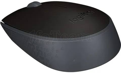 Photo de Souris sans fil Logitech Cordless Laser M171 (Noir)