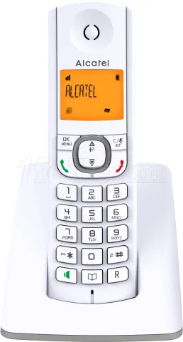 Photo de Téléphone fixe sans fil Alcatel F530 Solo (Blanc/Gris)