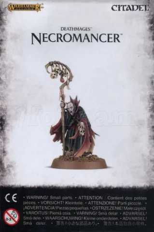 Photo de Warhammer AoS - Deathmages Necromancer