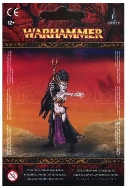 Photo de Warhammer AoS - Elfes Noir Sorcière