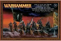 Photo de Warhammer AoS - Elfes Noirs Corsairs