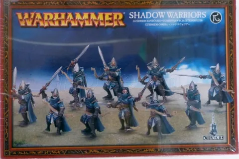 Photo de Warhammer AoS - Haut Elfes Guerriers Fantomes