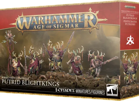 Photo de Warhammer AoS - Maggotkin of Nurgle : Putrid Blightkings