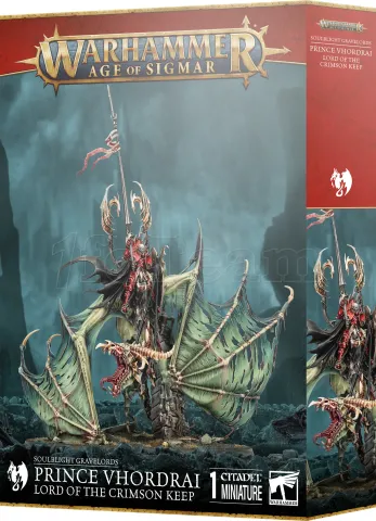 Photo de Warhammer AoS - Soulblight Gravelords Prince Vhordrai Seigneur du Fort Pourpre