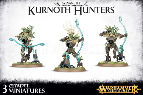 Photo de Warhammer AoS - Sylvaneth Kurnoth Hunters