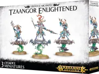 Photo de WAoS - Tzaangor Enlightened