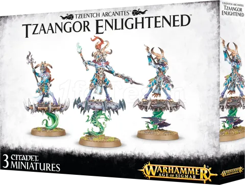 Photo de Warhammer AoS - Tzeentch Arcanites Tzaangor Enlightened