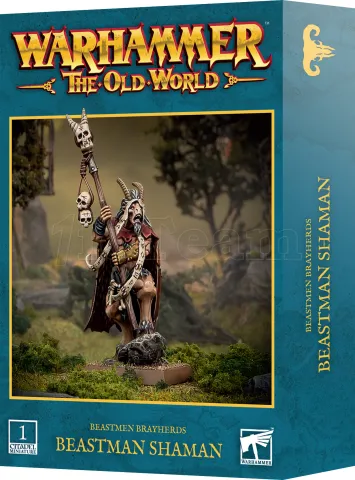 Photo de Warhammer ToW -  Hommes Betes Chamane
