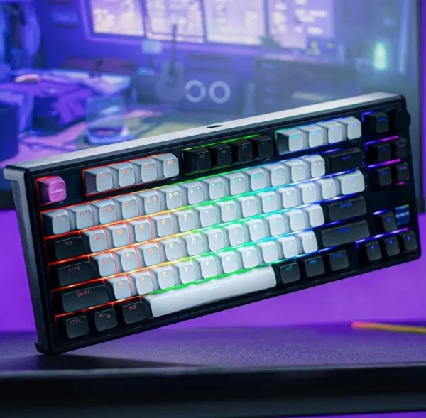 Présentation du clavier mécanique premium Hator Skyfall 100 Pro Wireless